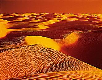 《女神异闻录3 Reload》山岸风花角色PV 2024年2月2日发售