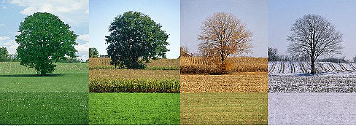 类银河战士《大教堂》4月12日登陆PS4 Steam获特别好评